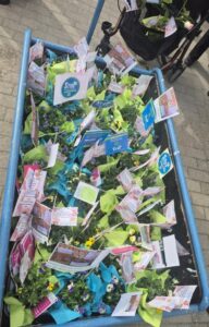 dekoratives Bildelement